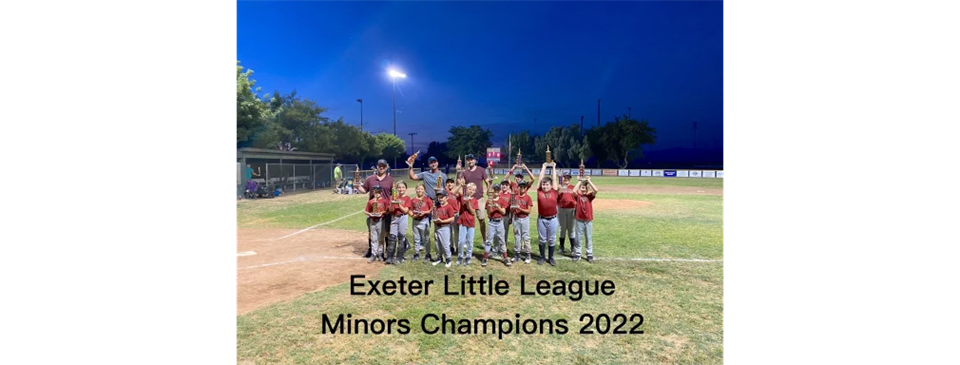 2022 Minors Champions 